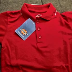 Dickie's Polo M